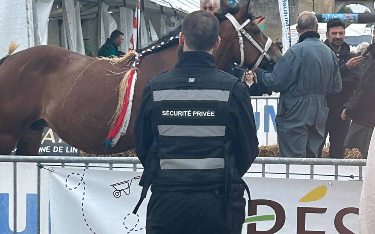 Sécurité privée équestre